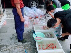 -华声天桥民俗文化园