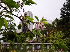 -金山公园