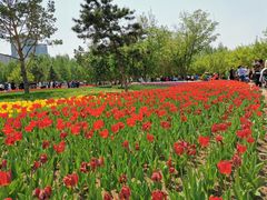 -长春公园(普阳街道)