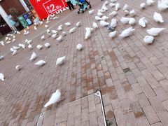 -王府井奥莱临潼小镇(临潼店)