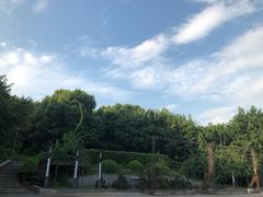-重庆平顶山公园