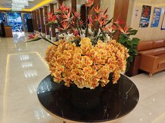 -太平洋PACIFIC SPA•奢睿水疗(万象城店)