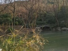 -宝界山林公园
