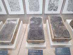 -亳州博物馆