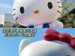 -深圳湾万象城(南山店)