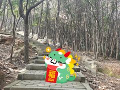 -香雪海