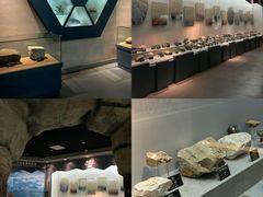 -甘肃地质博物馆