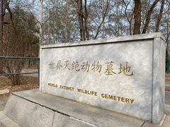 -南海子公园