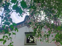 -深圳国际园林花卉博览园