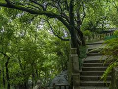 -乌山风景区