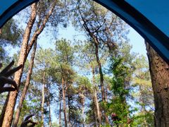 -铁山坪森林公园