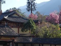 -天龙八部武侠城