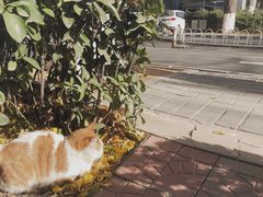 -中央财经大学-图书馆