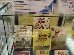 -关西机场 JR ticket office(Kansai Airport)