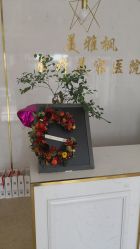 -美雅枫医疗美容医院