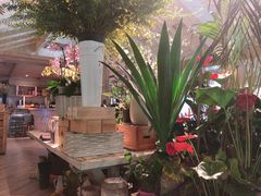 -春暖花开(西溪店)