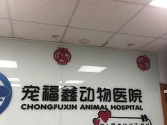 -宠福鑫动物医院(城北分院)