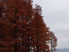 -四明湖