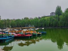 -莲湖公园