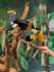 -Zoolung Zoolung动物主题公园(海信广场店)