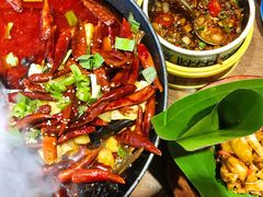 -雀舞云南菜(乐客城店)