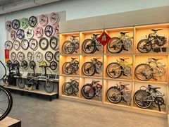 -DAHON大行折叠自行车(松江旗舰店)