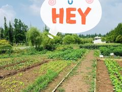 -前小桔亲子创意农场·草莓采摘·露营烧烤