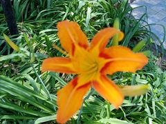 -北京积水潭医院-停车场