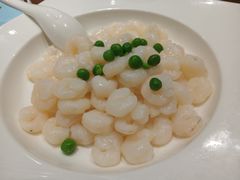 -乔家栅(襄阳南路店)