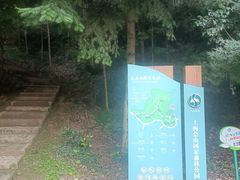 -上海佘山国家森林公园天马山园