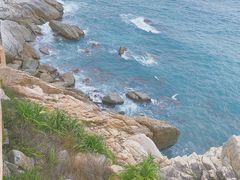-广东惠东海龟国家级自然保护区