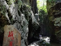 -牛背梁国家森林公园