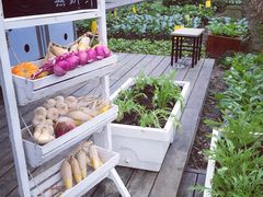 -田园东方蜜桃村的田野营地