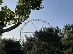 -辛玛王国游乐园