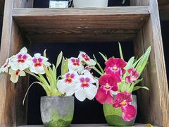 -国家植物园南园