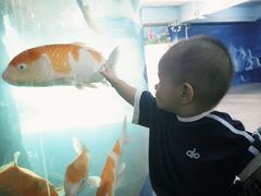 -泉州海丝野生动物世界