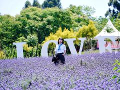 -紫颐香薰山谷景区