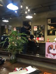 -艾嘉形象