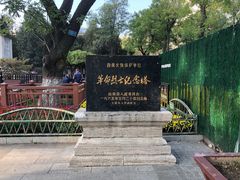 -文瀛公园