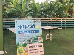 -麻涌飞鸭开心农场