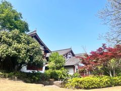 -铁山坪森林公园