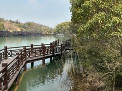 -白马涧龙池景区