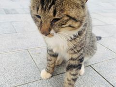 -慕田峪长城