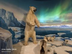 -陕西自然博物馆