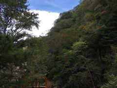 -青峰峡国家森林公园