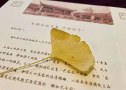 -颐和芥子园酒店·宴会厅