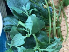 -慢丽江·云南野生菌土鸡锅(付家庄店)
