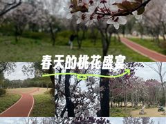 -颐景园
