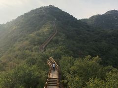 -大岭沟猕猴桃谷风景区