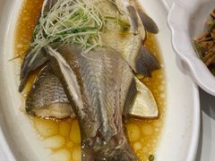 -刘胖子家常菜·蹄花焖藕(中南店)